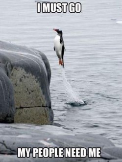 penguin must go
